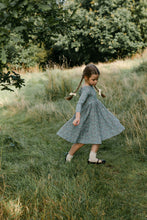 Load image into Gallery viewer, Meadow Twirl Dress